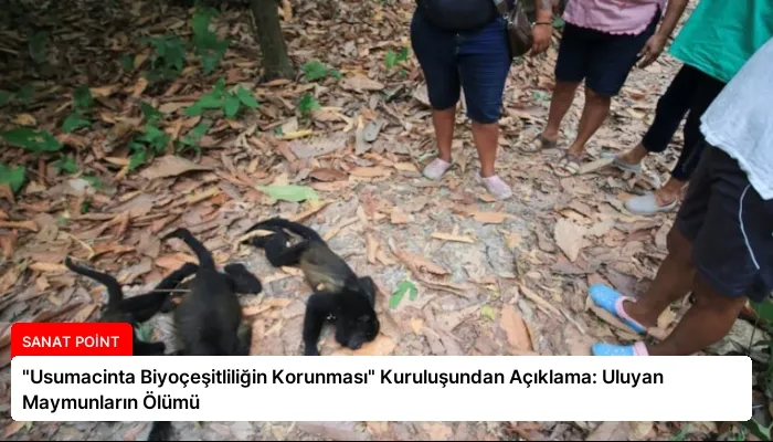 “Usumacinta Biyoçeşitliliğin Korunması” Kuruluşundan Açıklama: Uluyan Maymunların Ölümü
