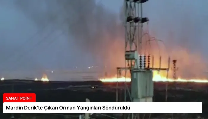 Mardin Derik’te Çıkan Orman Yangınları Söndürüldü
