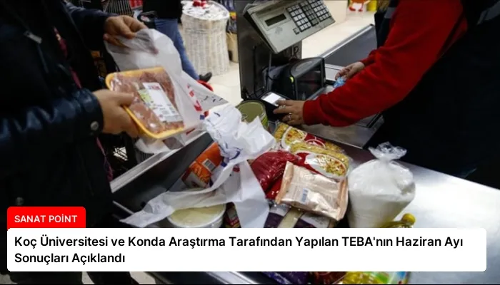 Koç Üniversitesi ve Konda Araştırma Tarafından Yapılan TEBA’nın Haziran Ayı Sonuçları Açıklandı