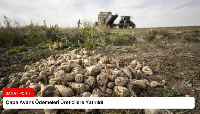 Çapa Avans Ödemeleri Üreticilere Yatırıldı