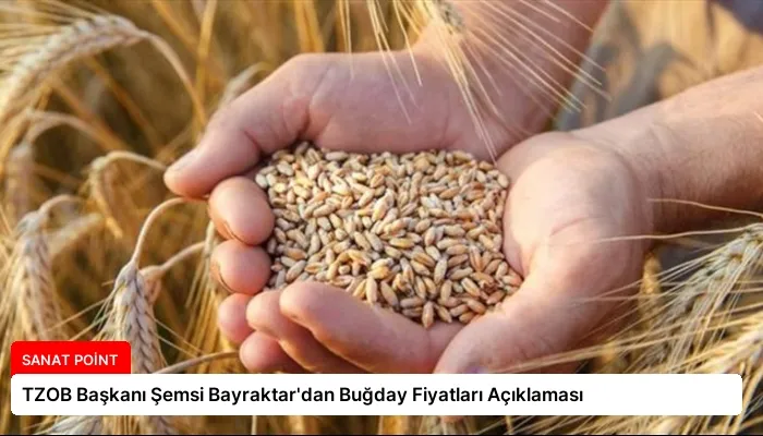 TZOB Başkanı Şemsi Bayraktar’dan Buğday Fiyatları Açıklaması