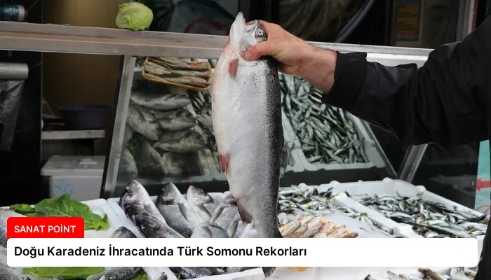 Doğu Karadeniz İhracatında Türk Somonu Rekorları