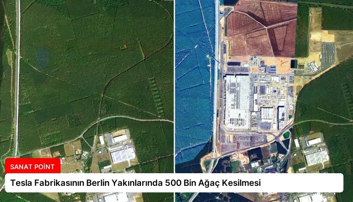 Tesla Fabrikasının Berlin Yakınlarında 500 Bin Ağaç Kesilmesi