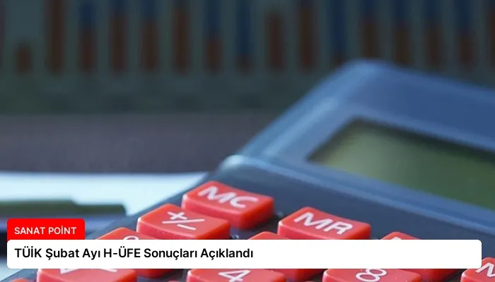 TÜİK Şubat Ayı H-ÜFE Sonuçları Açıklandı