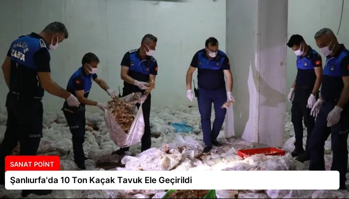 Şanlıurfa’da 10 Ton Kaçak Tavuk Ele Geçirildi
