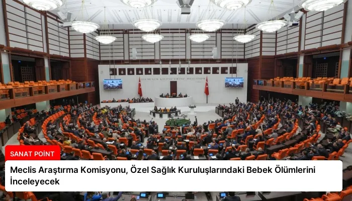 Meclis Araştırma Komisyonu, Özel Sağlık Kuruluşlarındaki Bebek Ölümlerini İnceleyecek