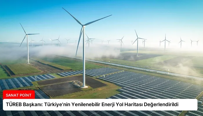 TÜREB Başkanı: Türkiye’nin Yenilenebilir Enerji Yol Haritası Değerlendirildi