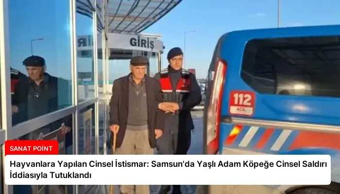 Hayvanlara Yapılan Cinsel İstismar: Samsun’da Yaşlı Adam Köpeğe Cinsel Saldırı İddiasıyla Tutuklandı