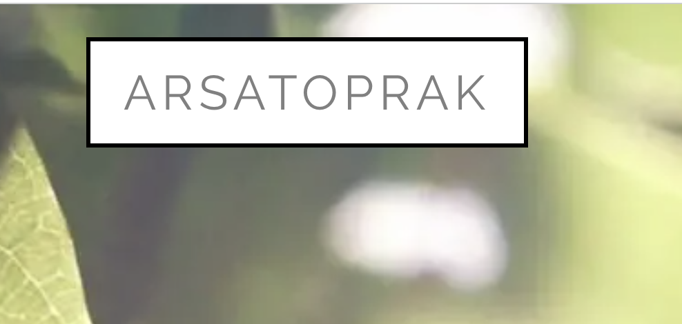 Arsa ve Gayrimenkul Yatırımlarında Dikkat Edilmesi Gerekenler