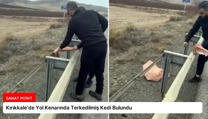 Kırıkkale’de Yol Kenarında Terkedilmiş Kedi Bulundu