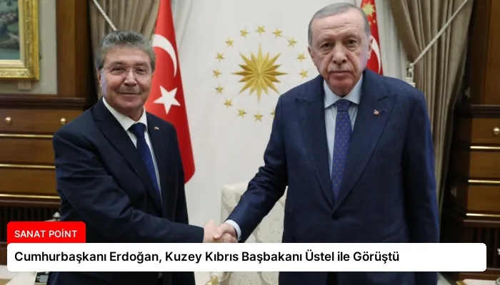 Cumhurbaşkanı Erdoğan, Kuzey Kıbrıs Başbakanı Üstel ile Görüştü