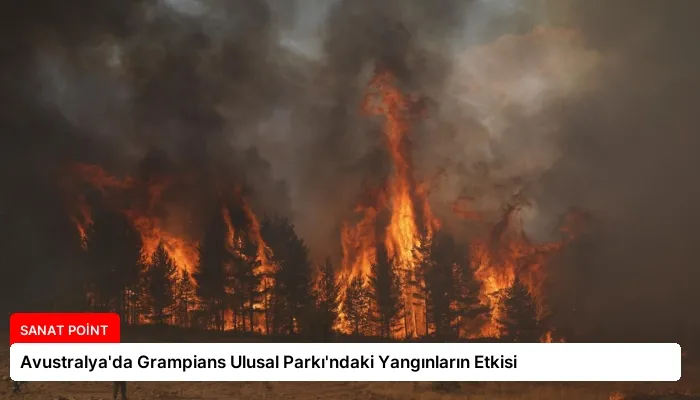 Avustralya’da Grampians Ulusal Parkı’ndaki Yangınların Etkisi