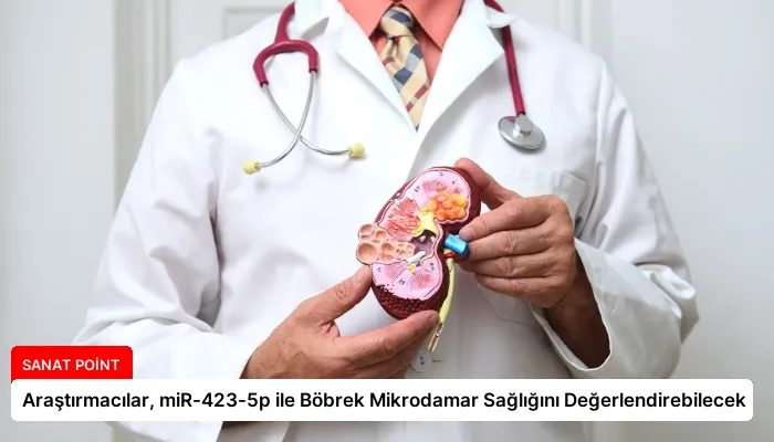 Araştırmacılar, miR-423-5p ile Böbrek Mikrodamar Sağlığını Değerlendirebilecek