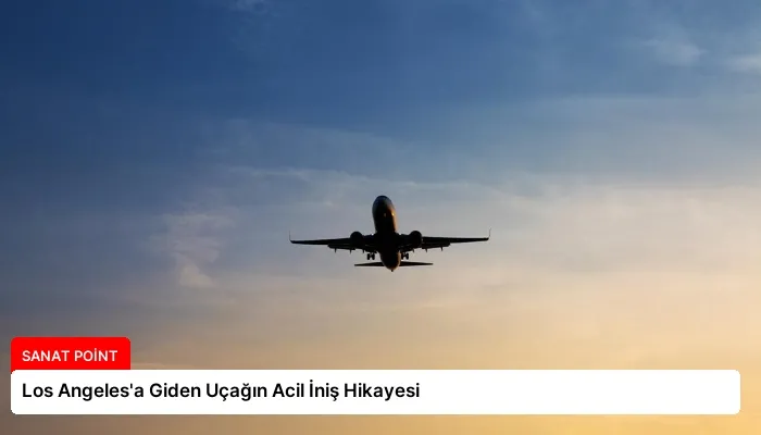 Los Angeles’a Giden Uçağın Acil İniş Hikayesi