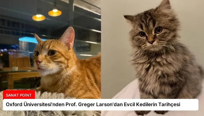 Oxford Üniversitesi’nden Prof. Greger Larson’dan Evcil Kedilerin Tarihçesi